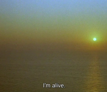 A cover of "Crucible" cluster. The owner is messybirkin. The cluster description is "“You don't learn on the mountaintop. You learn in the crucible.”". The cluster consists of 12 elements.