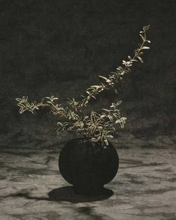 A cover of "Fragile Pillar" cluster. The owner is ashagereh. The cluster consists of 103 elements.