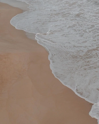 A cover of "color palette 02" cluster. The owner is artarchivestudio. The cluster consists of 17 elements.