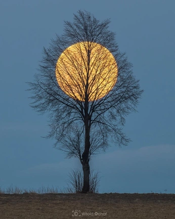 A cover of "references" cluster. The owner is kantalotta. The cluster consists of 3 elements.