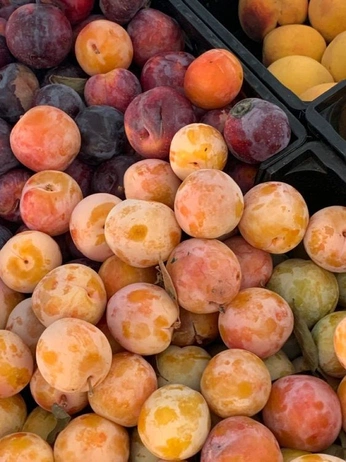 A cover of "fruit" cluster. The owner is studiobaxter. The cluster consists of 5 elements.