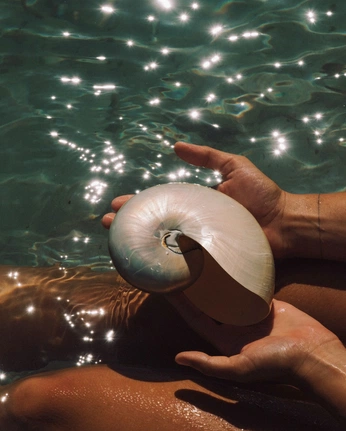 A cover of "SKIN OF THE WATER" cluster. The owner is nelly. The cluster description is "my summer's work". The cluster consists of 37 elements.