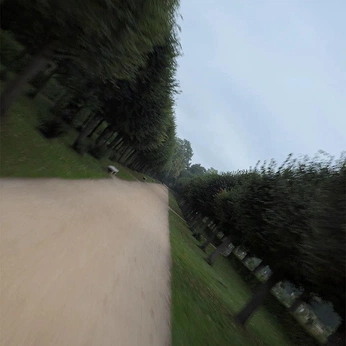 A cover of "life?" cluster. The owner is tylerj. The cluster consists of 160 elements.