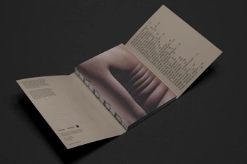 A cover of "ARREDO" cluster. The owner is gorilla0. The cluster consists of 30 elements.