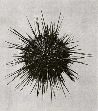A cover of "Unibox" cluster. The owner is kikibiernacki. The cluster consists of 6 elements.