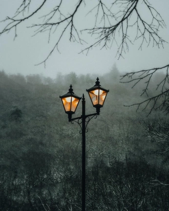 A cover of "winter wallpaper" cluster. The owner is sarahca. The cluster consists of 11 elements.