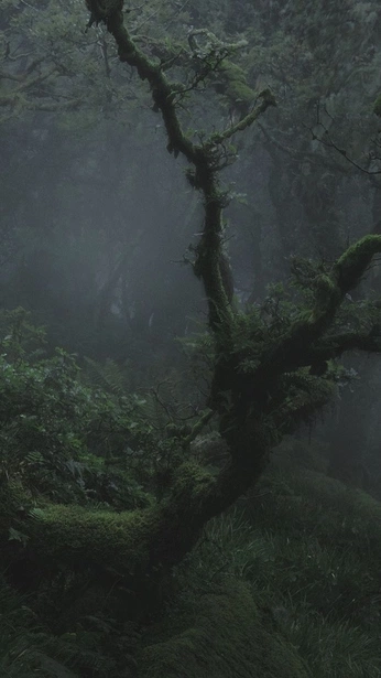 A cover of "Easeful Business" cluster. The owner is jenevievehubbard. The cluster consists of 161 elements.