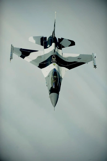 A cover of "f1 concept" cluster. The owner is s0105j. The cluster consists of 93 elements.