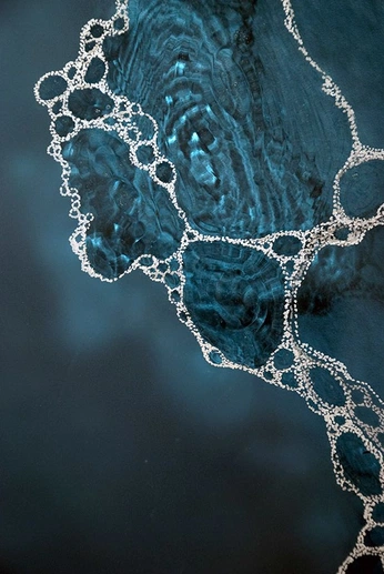 A cover of "water" cluster. The owner is katiecalder. The cluster consists of 24 elements.