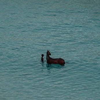 A cover of "Unseen Orbit" cluster. The owner is rbertani. The cluster consists of 53 elements.