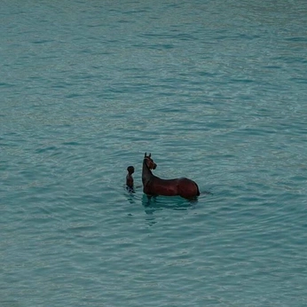 A cover of "Heart Throb" cluster. The owner is annamarieperrone. The cluster consists of 49 elements.