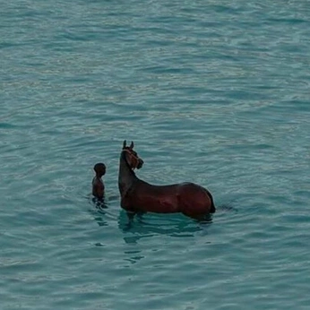 A cover of "Sublime Seed" cluster. The owner is bombaywoman. The cluster consists of 4 elements.