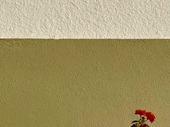 A cover of "Interesting" cluster. The owner is thatpersonro. The cluster consists of 81 elements.