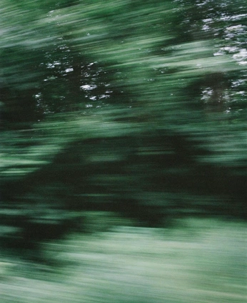 A cover of "Green" cluster. The owner is lifeguard.studio. The cluster consists of 3 elements.