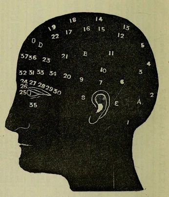A cover of "OBI" cluster. The owner is sawyerskipper. The cluster consists of 4 elements.