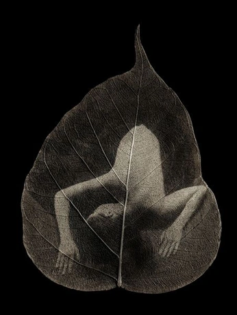 A cover of "ideas para fotos" cluster. The owner is juanitaayalat. The cluster consists of 13 elements.