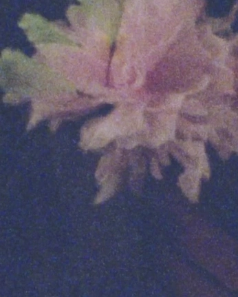 A cover of "Herbario" cluster. The owner is vi.ave. The cluster consists of 4 elements.