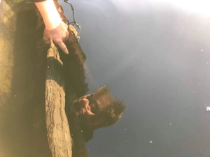 Raph Chiasson avatar