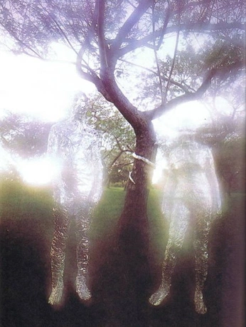 A cover of "17" cluster. The owner is diyara. The cluster consists of 5 elements.