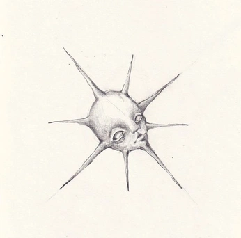 A cover of "art" cluster. The owner is estrella.bo. The cluster consists of 2 elements.
