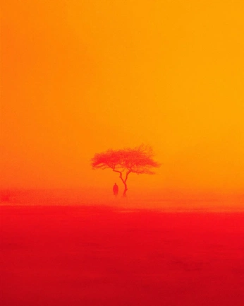 A cover of "Orangeeee" cluster. The owner is javier260811. The cluster consists of 6 elements.