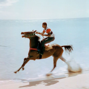 A cover of "Punta Polo" cluster. The owner is andreraposo. The cluster consists of 126 elements.