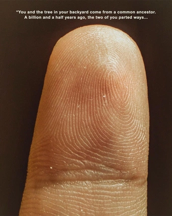 A cover of "People > Portrait" cluster. The owner is karlschopf. The cluster description is "Portrait full or close shots ". The cluster consists of 66 elements.