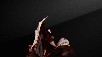 A cover of "SHARP" cluster. The owner is candacemarie. The cluster consists of 9 elements.