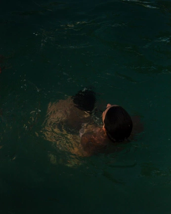 A cover of "shells" cluster. The owner is cogili. The cluster consists of 2 elements.