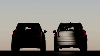 A cover of "portfolio lineup" cluster. The owner is atoniaavatr. The cluster consists of 19 elements.