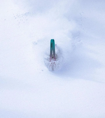 Cover of Snow cluster