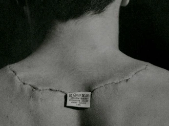 A cover of "swan" cluster. The owner is bluepearl. The cluster consists of 3 elements.