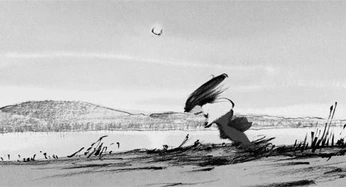 A cover of "Animation" cluster. The owner is torija. The cluster consists of 2 elements.