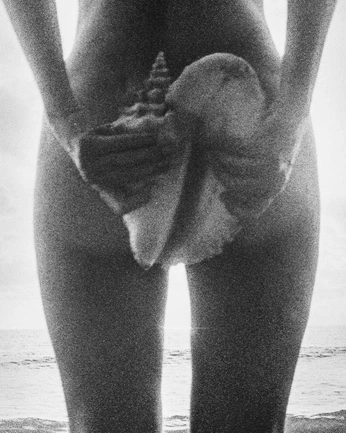 A cover of "Holiday" cluster. The owner is matthewlennon. The cluster consists of 1 element.