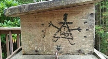 A cover of "gravity falls" cluster. The owner is webalien1. The cluster consists of 4 elements.