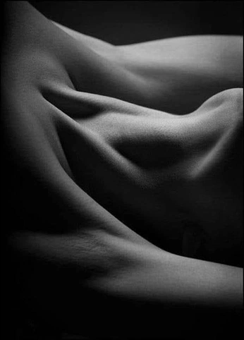 A cover of "Five Lines" cluster. The owner is zsmesar. The cluster consists of 48 elements.