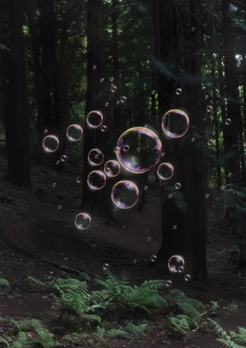 A cover of "nature" cluster. The owner is stephie.linz. The cluster consists of 1 element.