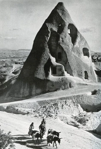 A cover of "VERNACULAR" cluster. The owner is mariasdval. The cluster consists of 14 elements.