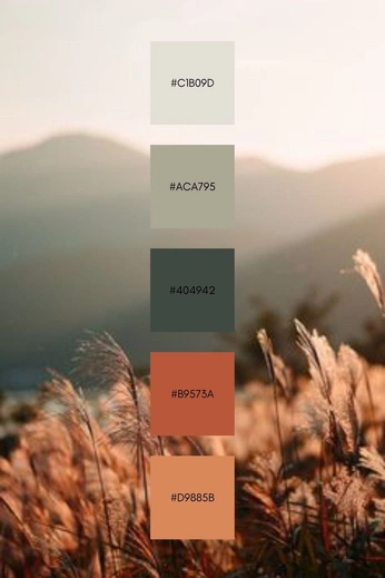 A cover of "bici" cluster. The owner is lucapm. The cluster consists of 1 element.