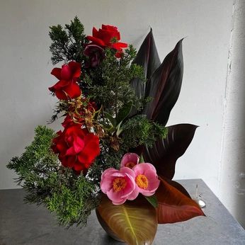 A cover of "FOOD & FLOWERS" cluster. The owner is 666abigail. The cluster consists of 18 elements.