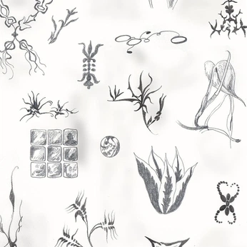 A cover of "Blossom" cluster. The owner is yhua11. The cluster consists of 40 elements.