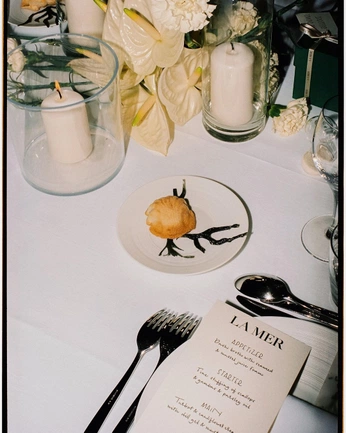 A cover of "Ysl dinner" cluster. The owner is vagocsabakornel. The cluster consists of 12 elements.