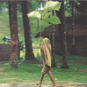 A cover of "CONCEPT" cluster. The owner is peacock. The cluster consists of 2 elements.