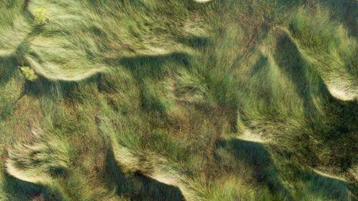Texture (@dawnstudios) / Cosmos