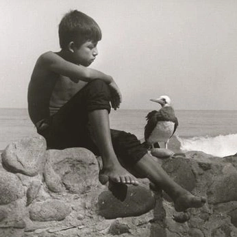 A cover of "PeB" cluster. The owner is antoniabrilha. The cluster consists of 182 elements.