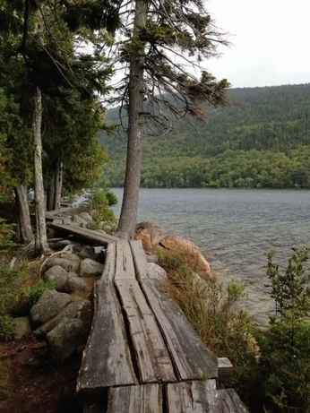 A cover of "mountains, forests, home" cluster. The owner is samet14. The cluster consists of 21 elements.