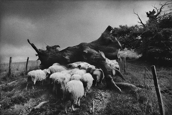 A cover of "personal collection 2" cluster. The owner is metaphcre. The cluster consists of 3 elements.