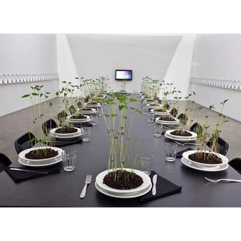 A cover of "Hazel reflection dinner" cluster. The owner is antonia.ebner. The cluster consists of 24 elements.