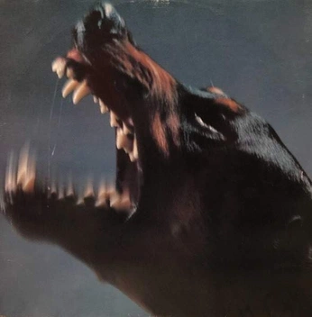 A cover of "-" cluster. The owner is mariatardajos. The cluster consists of 10 elements.