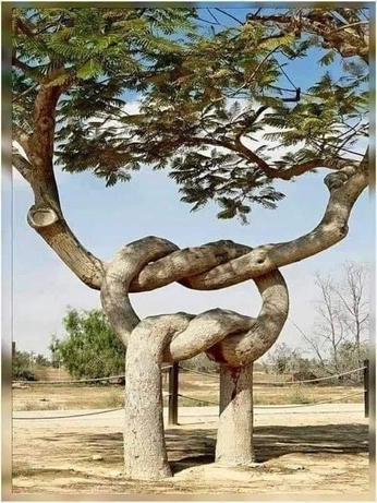 A cover of "Nó" cluster. The owner is kerocomk. The cluster consists of 7 elements.